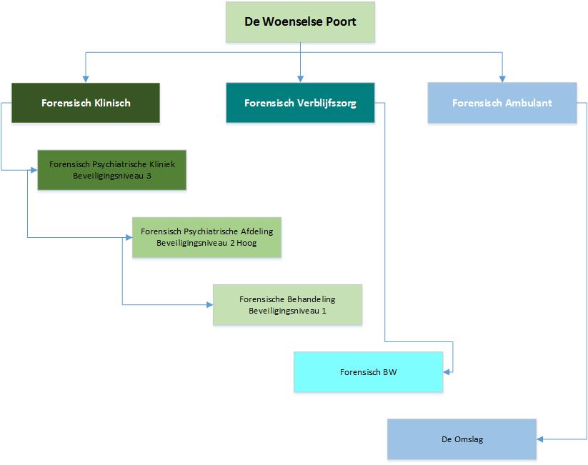 organogram